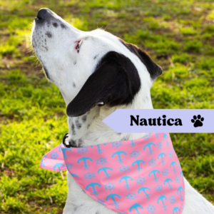 Pañoleta Nautica